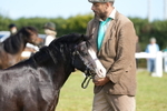 DSC05080