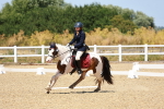 SBM_010819