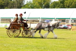 SBM_02653