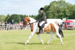 SBM_17581