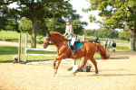 SBM_60469