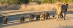 Walking with mom.
