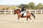 SBM_009925