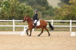 SBM_01533