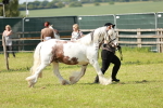 SBM_08565