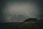 DSCF4197