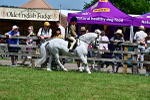 SBM_06090