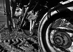Black & White portfolio