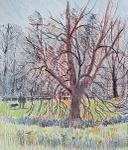 Nowton Park 2