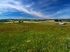 Fields near Tideswell #2
