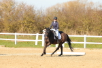 SBM_003596