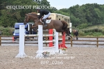 BPP_0266