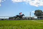 080726-Race 5-Sugarpiehoneybunch-3943