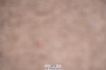 240802A-125632-04501
