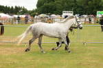 SBM_04182
