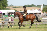 SBM_06954