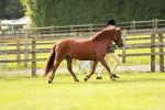 SBM_00436