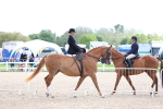 SBM_17064