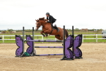 Class 5 - Senior Foxhunter 1.20m portfolio