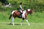 3E7A8625