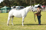 SBM_01647