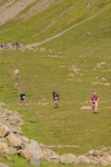 Ennerdale-703