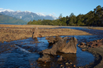Lago Yelcho