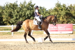 SBM_007697