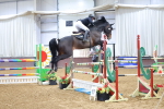 SBM_003732