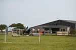 WJ6_0911