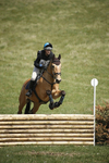 BVHT 140517  IXC -556