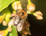 20150603-8E0A9074