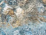SPLASH #22 - BRUCE COUNTY