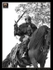 equiscot 1320
