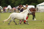 SBM_03513