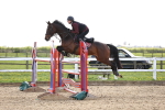 SBM_004799