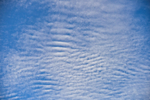 ACP_4743-1