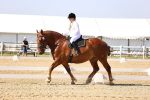 SBM_002756