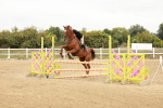 SBM_008696