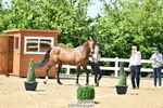 Trot Up 12pm to 1pm portfolio