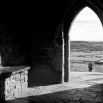 Into the Light
