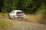 McKelveys Asbestos Bushwhacker Rally-94