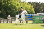 SBM_07225