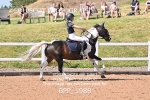 BPP_1988