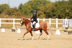 SBM_017561