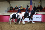 SBM_15176