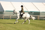 SBM_10681