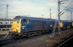 30th Aug 1985