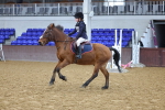 SBM_000336