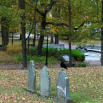 Loyalist Burial Grounds Crow on Tombstone
